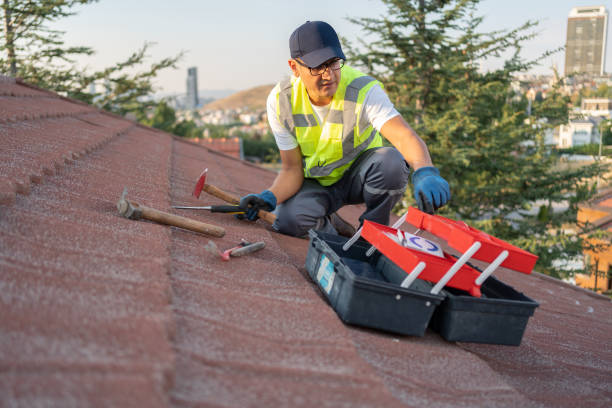 Best Residential Vinyl Siding Installation  in Big Le, AK